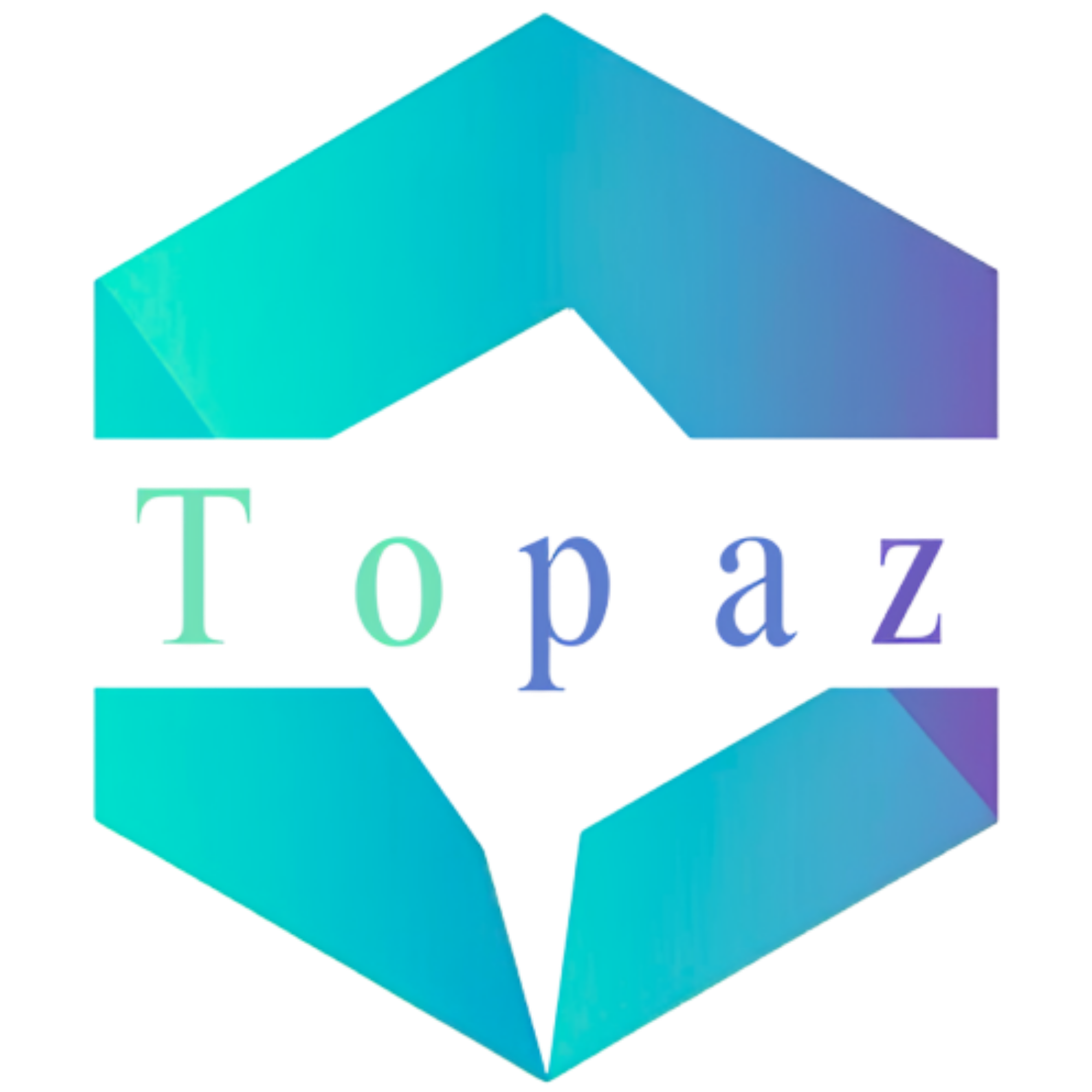 Logo TOPAZ